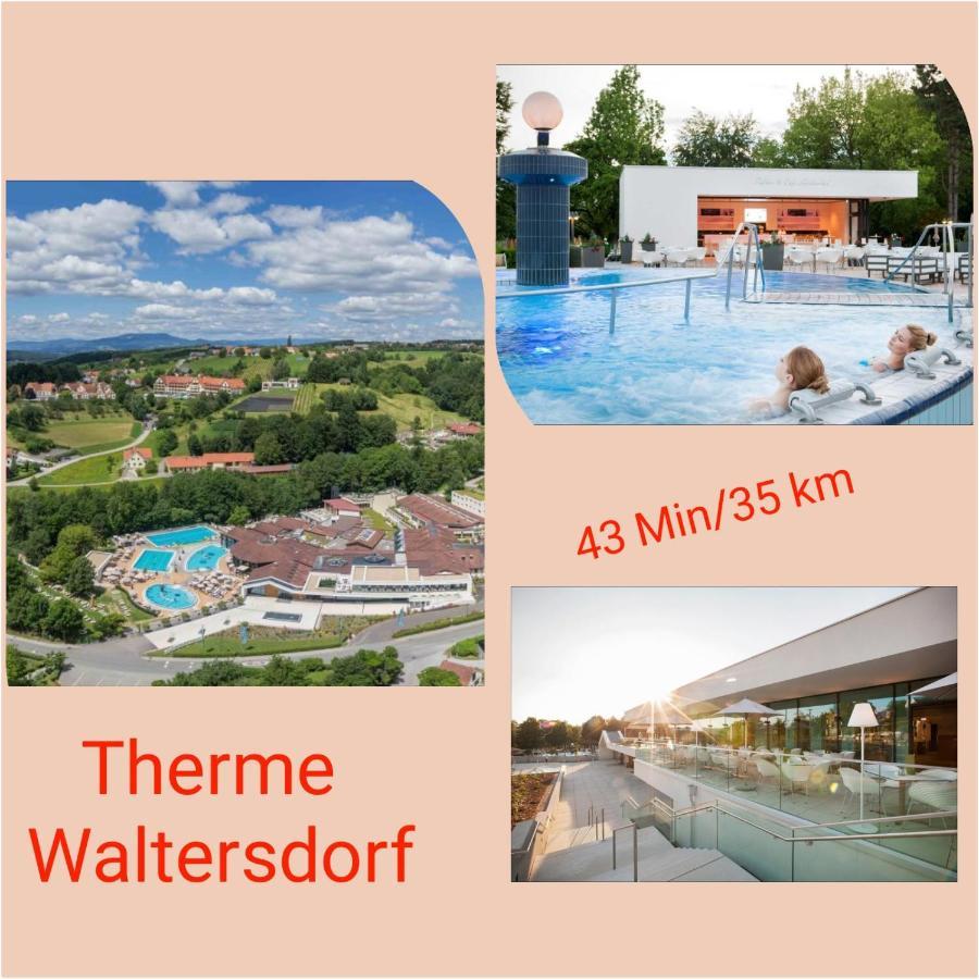 Apartment Schloffer Weiz Eksteriør bilde